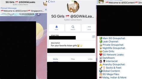 sg mega leaks|Police probing Telegram group allegedly hosting。